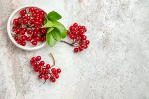 Czym są ziołomiody i czym się różnią od miodu?